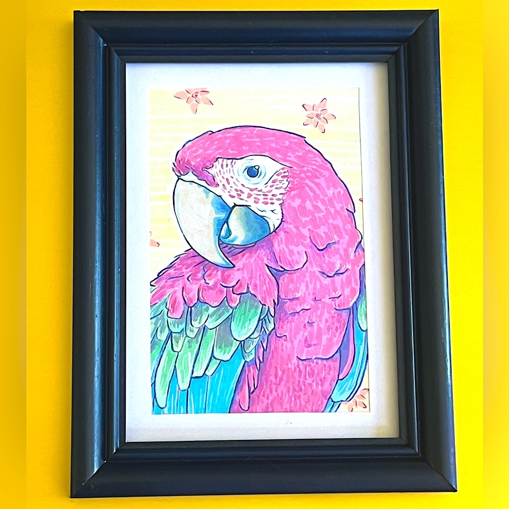 Original Parrot illustration on paper